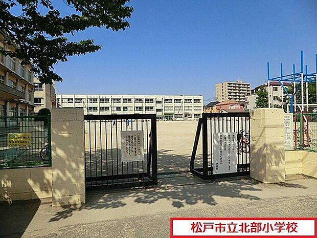 松戸市立北部小学校まで696m、松戸市立北部小学校