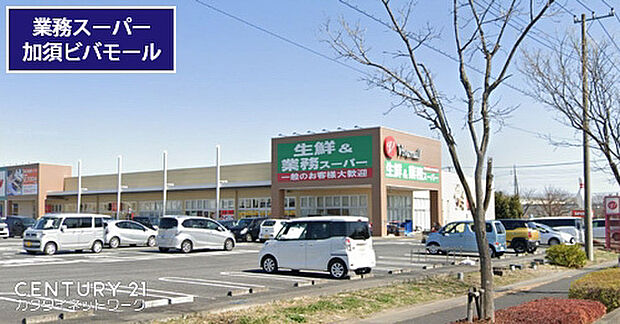 業務スーパー加須ビバモール店まで752m、業務スーパー加須ビバモール店　徒歩10分