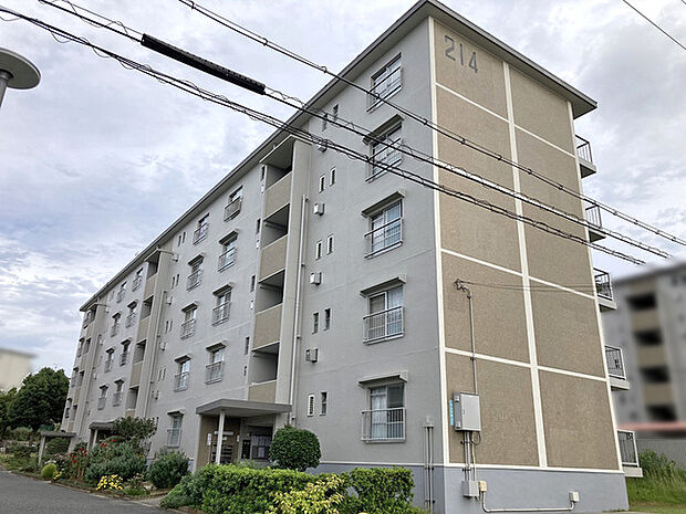 男山第3住宅214号棟(2LDK) 4階の外観