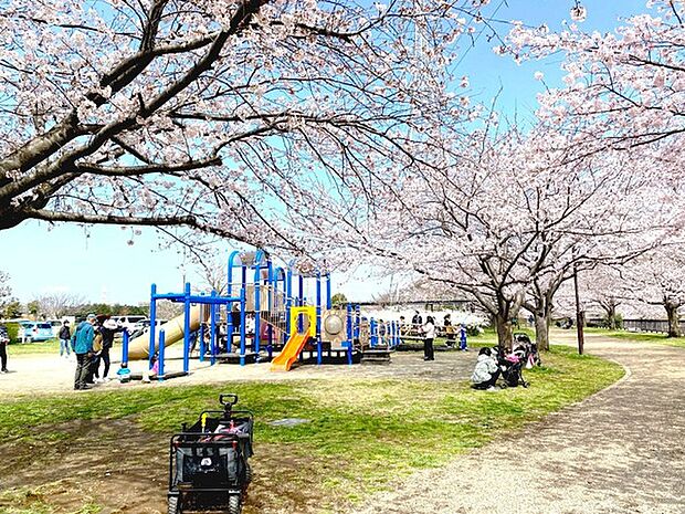 引地川親水公園まで1196m、ピクニックに最適な遊具もたくさんある親水公園