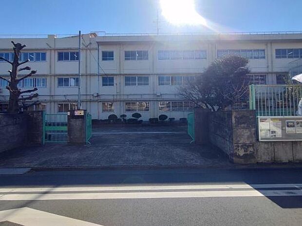 川崎市立向小学校まで374m