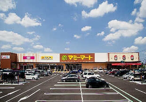 マミーマート松戸新田店まで704m