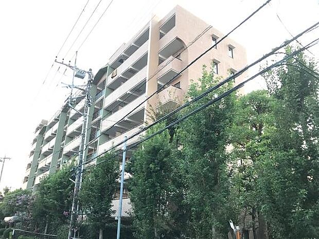 コスモ津田沼グレイスシティＡ棟(3LDK) 2階の外観
