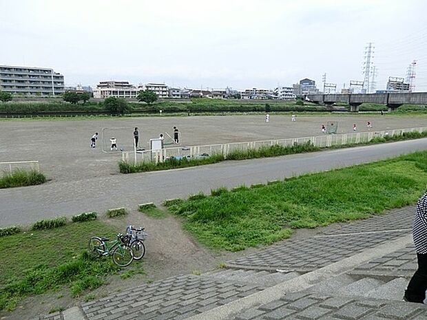 鶴見川樽町公園まで1459m、トイレやベンチ、水飲み場も完備され、使い勝手はなかなかのもの。子ども連れでも安心の、都市部の中の緑のスポット。