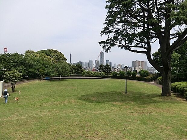 浅間台みはらし公園まで571m、横浜ランドマークタワーを中心とした高層ビル群を一望できる夜景スポットとしても有名な公園