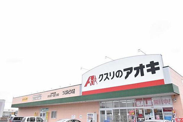 クスリのアオキつくばみどりの店まで700m、薬や日用品・食料まで揃うドラッグストア。