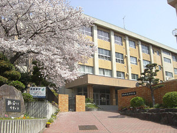 和歌山市立紀伊中学校まで2439m