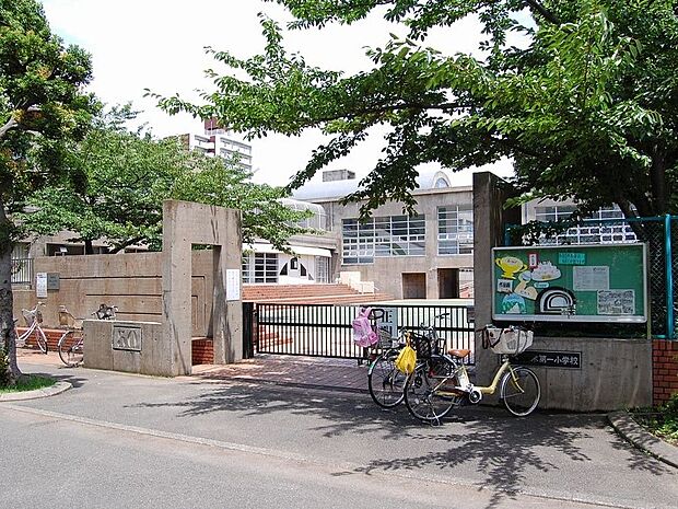 横浜市立並木第一小学校　800m　 