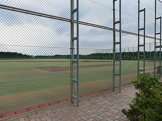 辻堂南部公園　800m　野球場・テニスコート（有料）、多目的・芝生広場などスポーツ利用を主な目的とした公園です。 