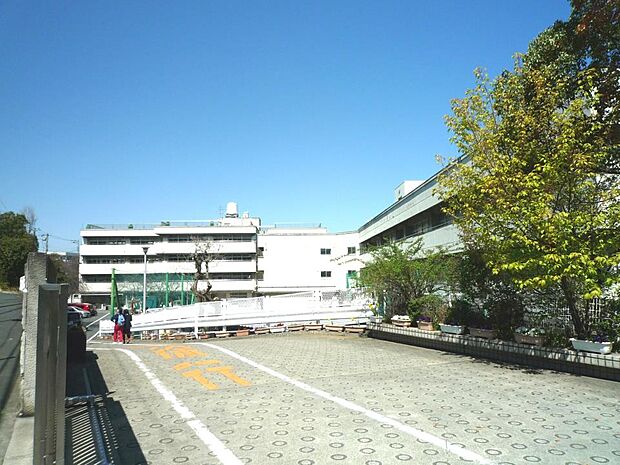 横浜市立松本中学校　350m　 
