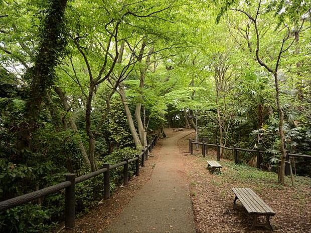 戸塚公園　1500m　多目的広場や遊具のある広場とともに緑豊かな雑木林、湧き水が流れるせせらぎがあります。 