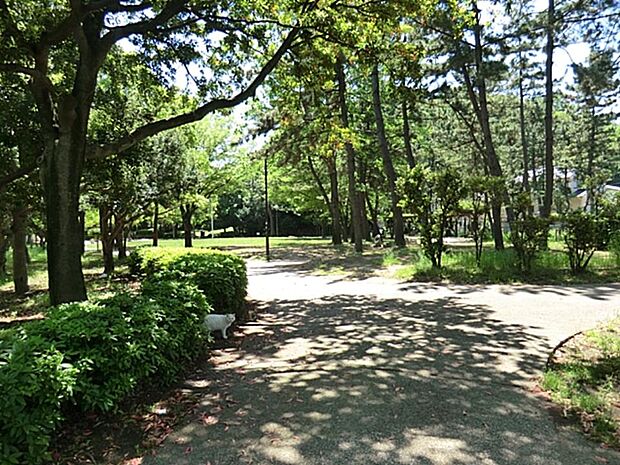 富岡八幡公園　1100m　こどもログハウスがある公園。木のぬくもりを感じながら自由に遊べる屋内施設。雨の日も楽しく遊べます。 