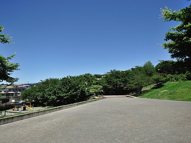 芹が谷一丁目公園　700m　晴れた日には富士山まで望める。色とりどりの草花で四季の移ろいも感じられる住民の憩いの場です。 