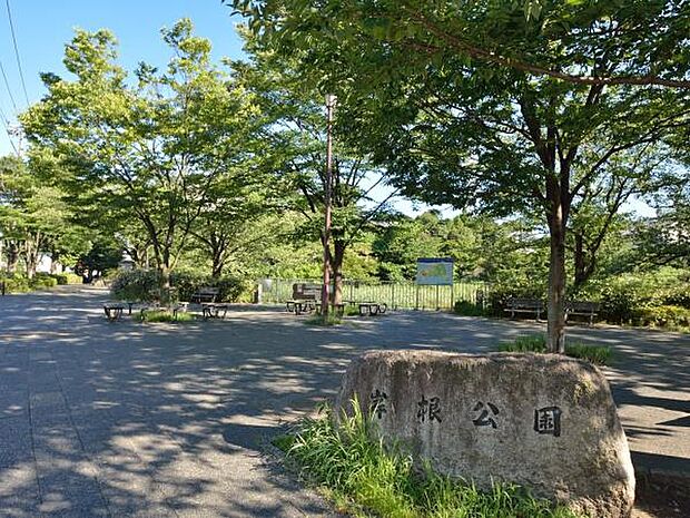岸根公園　400m　桜の名所、広場、遊具、そして緑の多い園内をぐるりと散歩道があり一年中楽しめる公園です。 