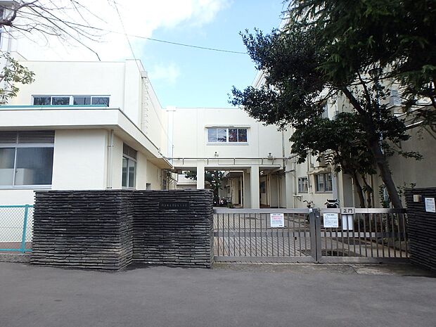 横浜市立常盤台小学校　550m　 