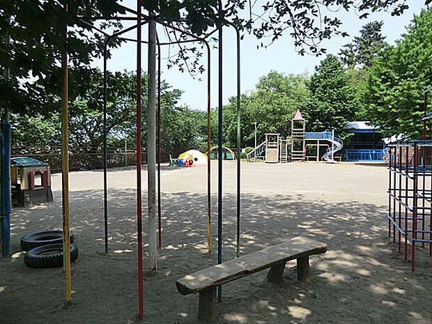 柏幼稚園　500m　広い園庭で、自由に伸び伸びとした保育を行う幼稚園。制服が無く、転園生に優しいスタイルも魅力の一つ。 