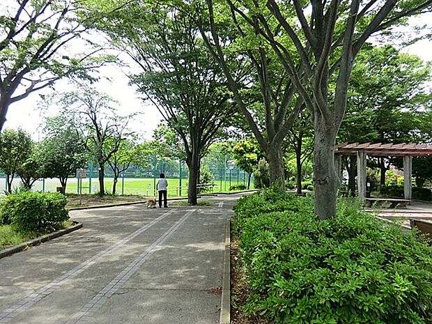 六浦大道公園　1100m　住宅街の中の緑に囲まれた広々とした公園です。スポーツができるグラウンドと遊具や広場があります。 