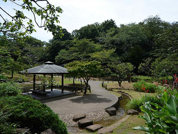大倉山公園　650m　園内には梅林があり、梅の名所として知られている公園。四季折々の違った彩りを楽しめる公園です。 