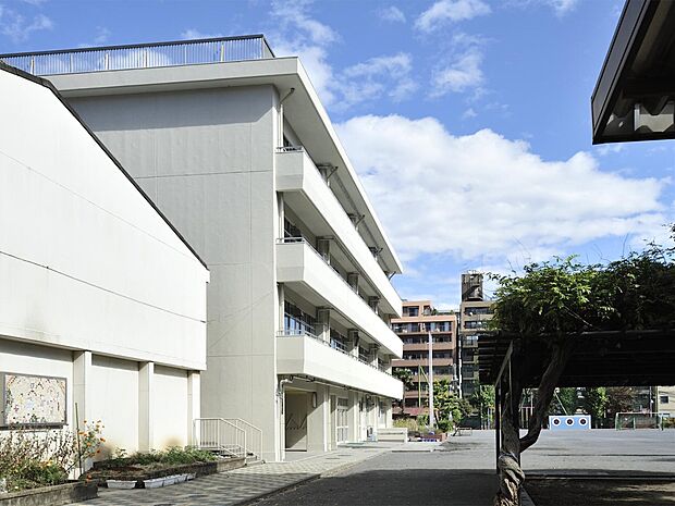 横浜市立南吉田小学校　270m　 