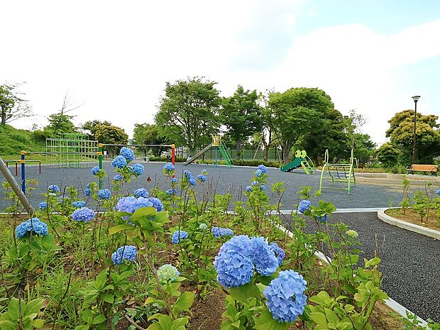 洋光台南公園　1000m　野球場や芝生公園・遊具公園・プール・テニスコートなどと多目的に利用できるスポーツ公園です。 