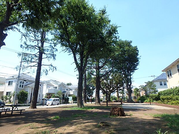 井田こもれび公園　400m　バス通りに面した陽のあたるこもれびが眩しい公園。シンボルツリーの大木に囲まれてお花見も楽しめます。 