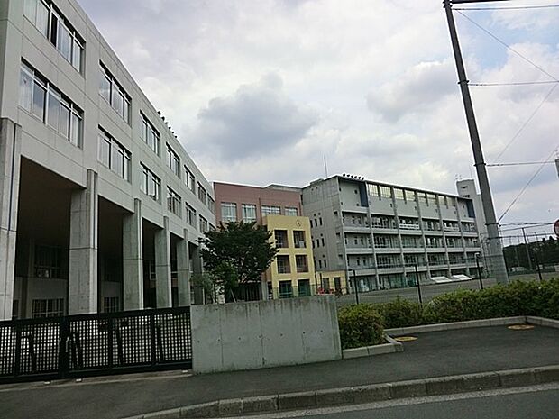 大和市立渋谷中学校　1570m　 