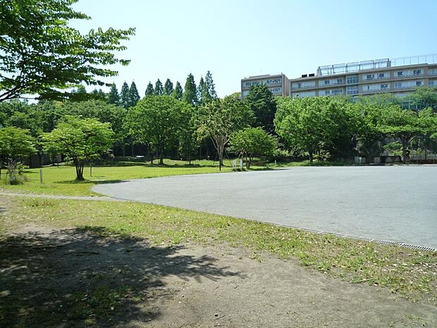 沢渡中央公園　850m　走り回れる広場をぐるりと木立が囲み、おだやかな雰囲気が漂う公園です。 