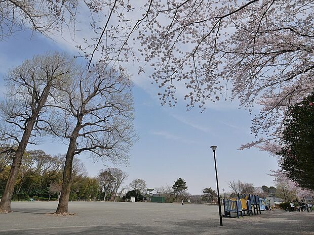 川上公園　1100m　広い広場や遊具のある見晴らしの良い公園。春には桜の下でお花見ができます。 