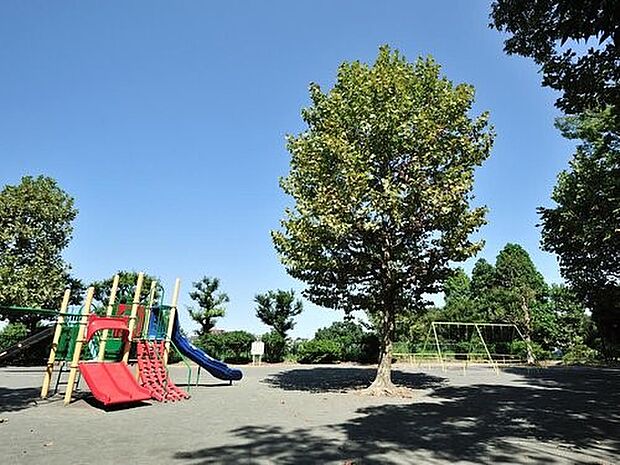 岡村公園　700m　大きな梅林があり、高台では横浜ランドマークタワーや富士山などを望むことができます。 