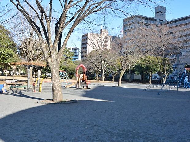 神奈川公園　200m　小さなお子様で賑わう遊具も充実した公園です。春には桜が楽しめる散歩道もあります。 