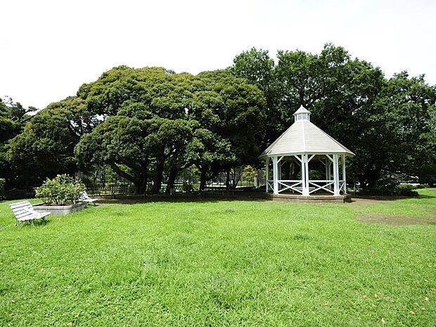山手公園　800m　日本で初めて建設された西洋式公園です。日本におけるテニスの発祥の地とも言われています。 