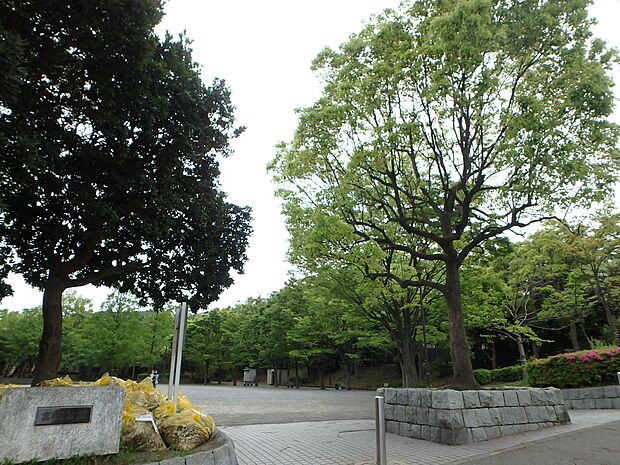 富岡公園　400m　住宅街の中の緑に囲まれた公園。お子様が走り回れる広場や遊具、木陰で休めるベンチがございます。 