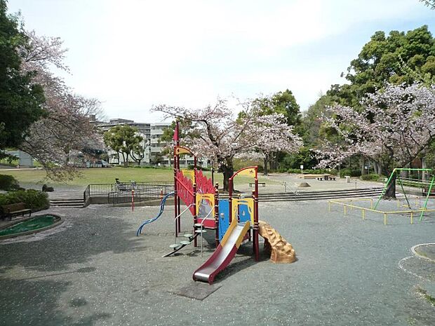 白根公園　750m　横浜市でも珍しい自然の滝のある公園。放課後は子供たちのにぎやかな声が響きます。 