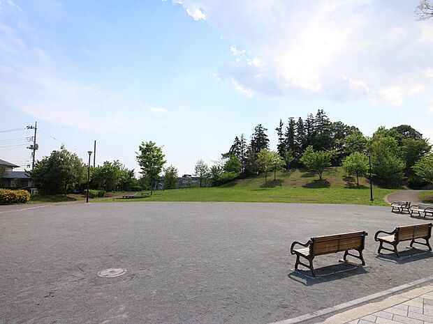 長津田みなみ台公園　350m　小高い丘の上、整備された遊歩道と長津田十景に選定されている景色を一望できる展望台のある公園。 