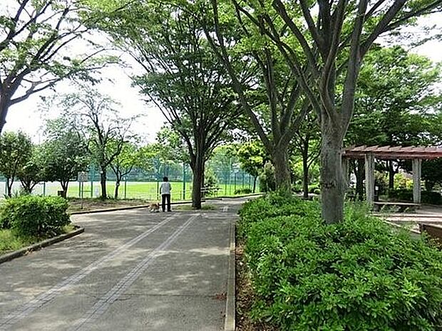 六浦大道公園　1800m　サッカーや野球のできるグラウンドがあります。翠溢れる街のオアシスとして、近隣の方に愛されています。 