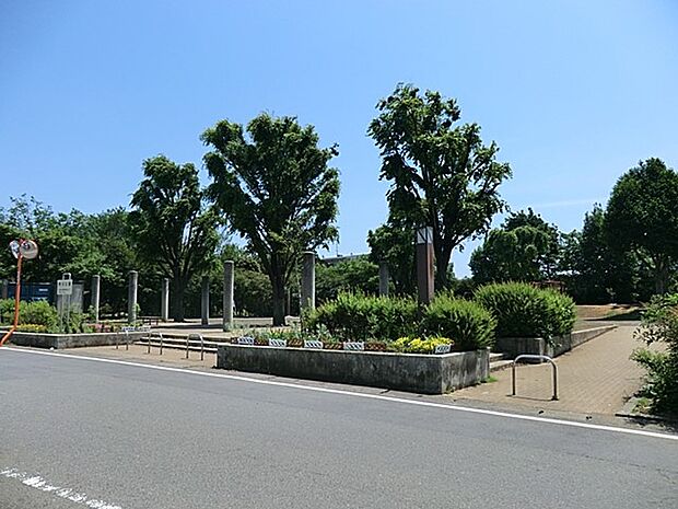 野川公園　550m　野川と都道にはさまれた起伏のある芝生広場やテニスコート・アスレチックのある大きな公園です。 