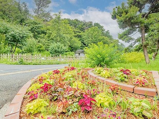 三ツ池公園　1000m　池や森のある広大な敷地にプール、テニスコートなどの施設が点在する県立公園。お花見の名所。 