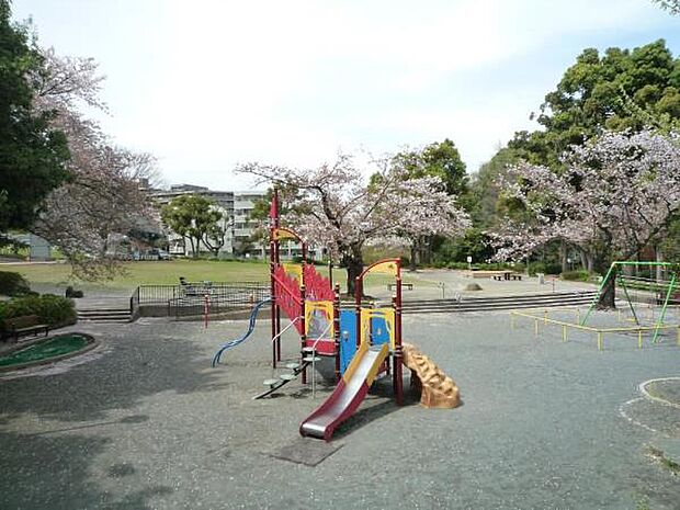 白根公園　850m　横浜市でも珍しい自然の滝のある公園。放課後は子供たちのにぎやかな声が響きます。 