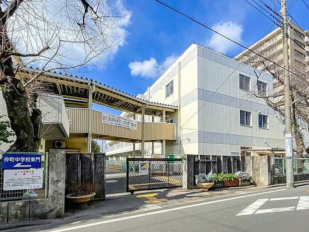 川口市立仲町中学校まで500m