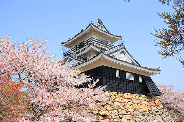 浜松城公園まで1920m、徳川三百年の歴史を刻む出世城を見学できる浜松城公園。桜や紅葉など、四季折々の姿を楽しめる人気観光スポット。