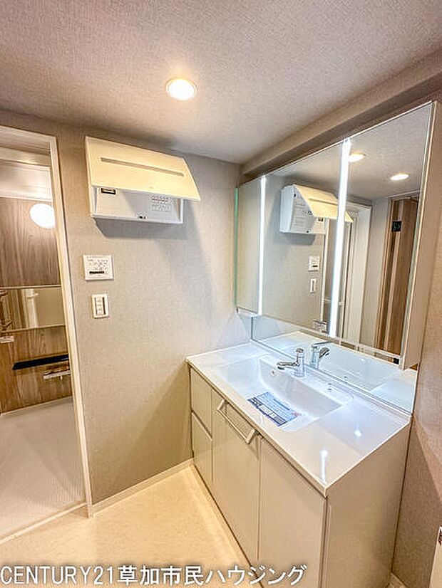 色調に浴室との統一感を持たせた洗面所。三面鏡の裏側は収納スペースになっています