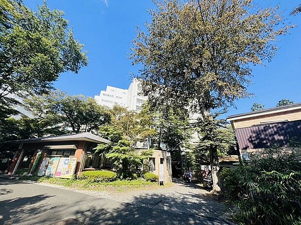 井の頭公園のパークサイドの魅力的なロケーション。「吉祥寺」駅から歩いて5分の立地ながら緑に囲まれた暮らしのできるマンションです。 