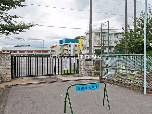 西東京市立柳沢中学校（550m）