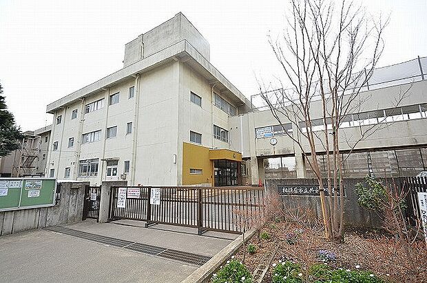 相模原市立共和中学校　距離約1700m