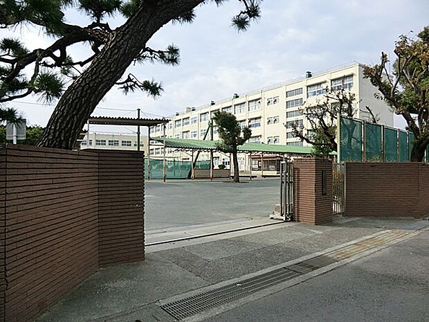 横浜市立希望ケ丘小学校　距離約800m