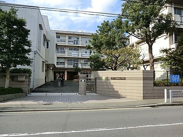 横浜市立北綱島小学校まで444m、徒歩6分です。