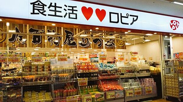 ロピア小田栄店まで650m、テレビの取材で報じられることも多いスーパー「ロピア」が平坦徒歩9分で歩けるのは魅力。特にお肉が安いと人気です。