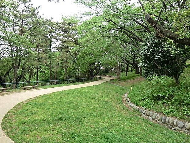 篠原園地まで379m、白楽駅から徒歩6分の自然豊かな公園。隣接する釣りOKの白幡池公園とあわせてお出掛けしたいスポットです。
