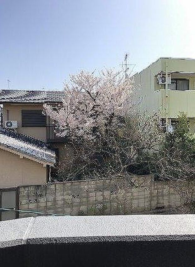 ジオ京都嵯峨嵐山(3LDK) 2階のその他画像