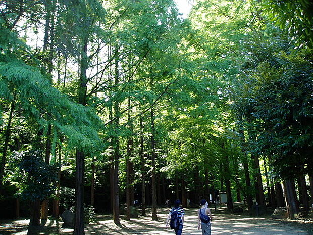 生田緑地まで1717m、多摩丘陵に広がる川崎市最大の緑地。プラネタリウムを持つ「かわさき宙（そら）と緑の科学館」などあり様々な楽しみ方ができます